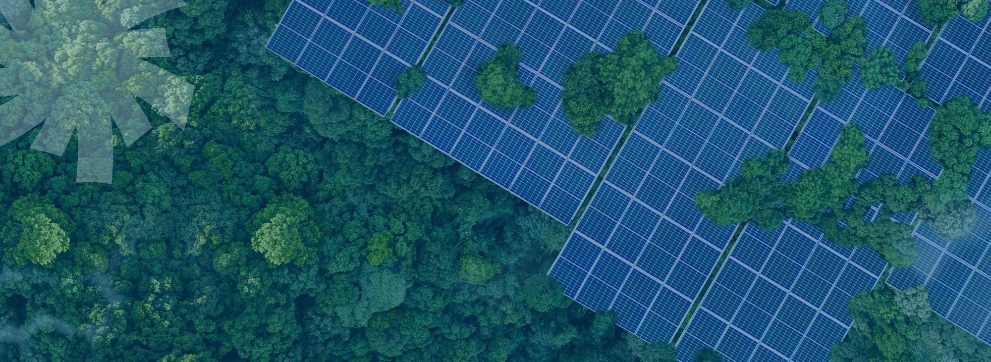 fondazione nest, spoke 1, partenariato, transizione energetica, sostenibilità, soluzioni solari