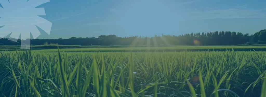 fondazione nest, spoke 3, partenariato, transizione energetica, sostenibilità, bioraffineria sostenibile