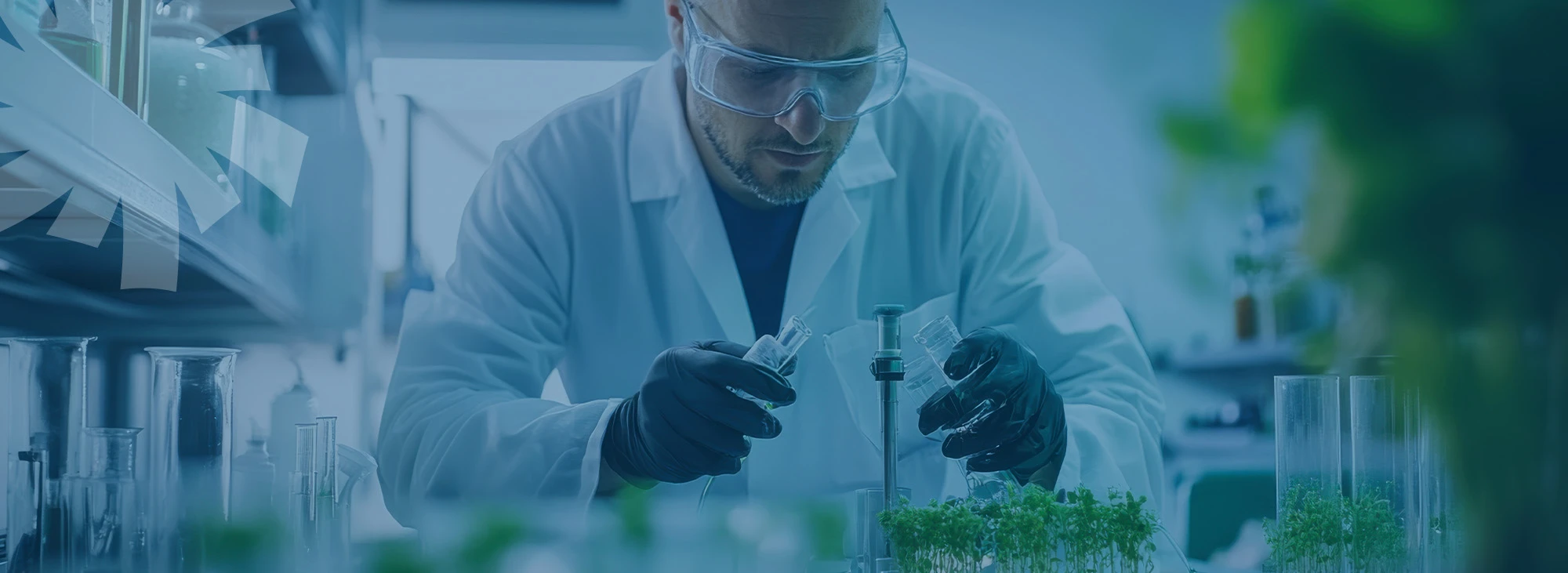 fondazione nest, spoke 5, partenariato, transizione energetica, sostenibilità, conversione energetica