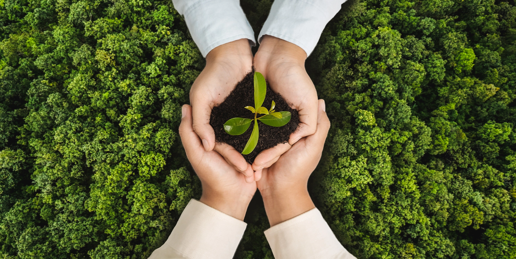 Sviluppo sostenibile: la collaborazione NEST–ASviS